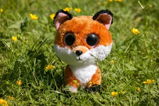 Googley熊，填充动物，毛绒玩具，Fuchs，聪明