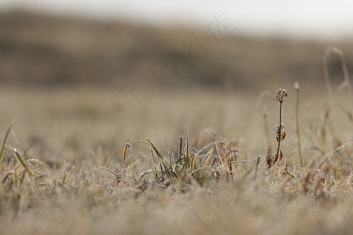 自然，当然，德国，景观，En，关闭