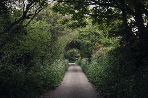 自然公园,生态林,村道,山峦,自然/人文景观,乡村小路