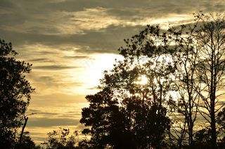 日落，日出，自然，太阳，阳光，黎明，黄昏