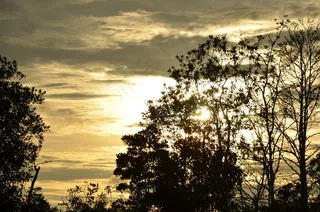 日落，日出，自然，太阳，阳光，黎明，黄昏