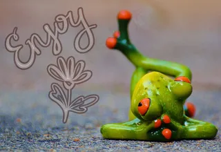 青蛙，放松，无花果，可笑，休息，放松，说谎