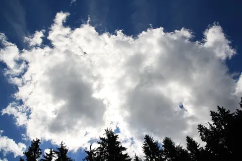 天空,云,树木,自然,外,美丽 天空,云,树木,自然,外,美丽