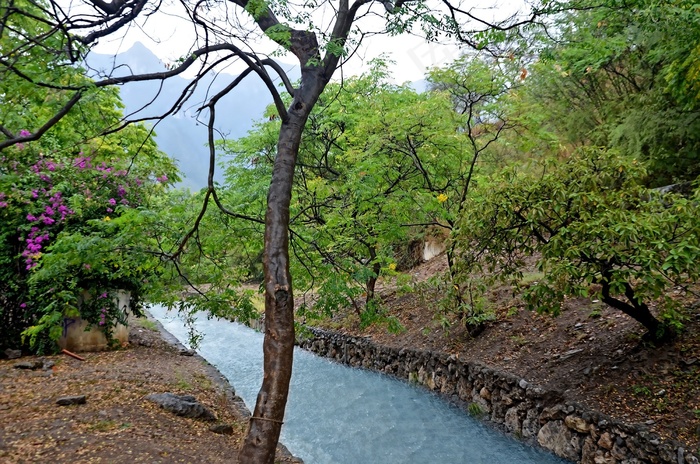 水，河流，自然，景观，夏天，森林