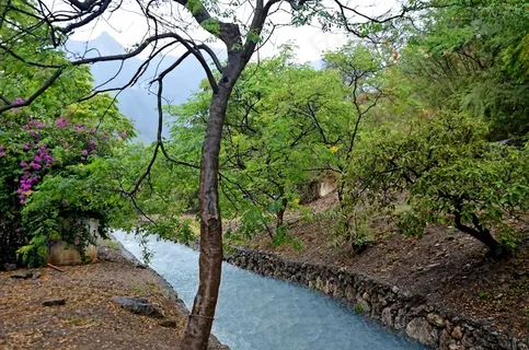 水,河流,自然,景观,夏天,森林 水,河流,自然,景观,夏天,森林