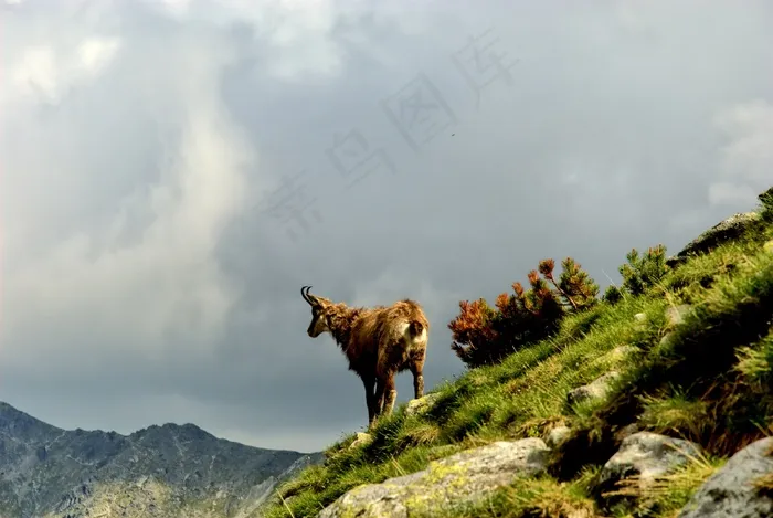 塔特拉，斯洛伐克，景观，顶视图，山，视图