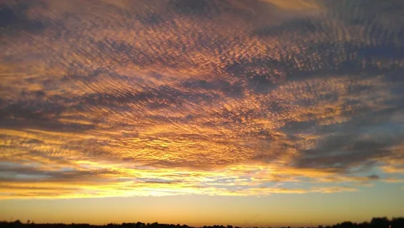 日落，金色，颜色，自然，日落景观