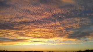 日落，金色，颜色，自然，日落景观