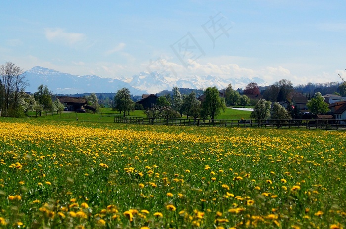 Fruelingswiese，Rigi，高山，Freiamt，全景
