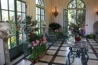 园艺，花园，花，自然，中庭，开花