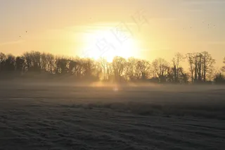 日出，冬天，自然，有雾，天空，季节