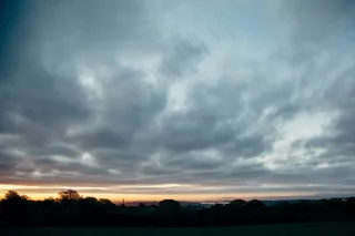 天空,雨云,阴云密布,树,雨层云,黄昏的天空