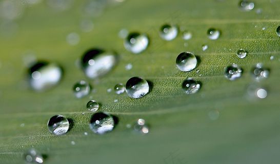 滴，水滴，水，雨滴，自然