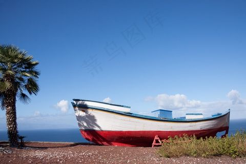 棕榈，引导，渔船，大海，天空，云，蓝色