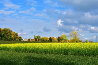 秋天，十月，金色秋天，十月，金色