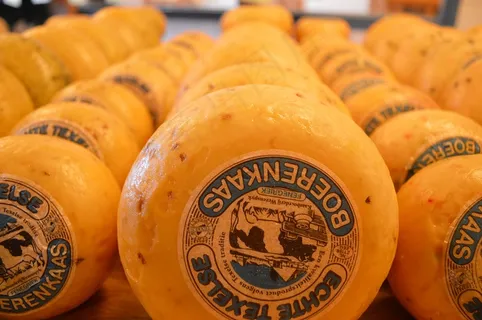 奶酪，特塞尔，农夫奶酪，周围，商店，黄色