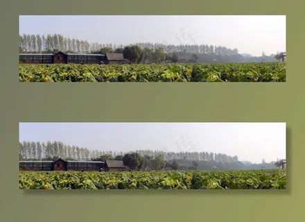 农场和田野的全景视图