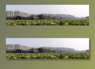 农场和田野的全景视图