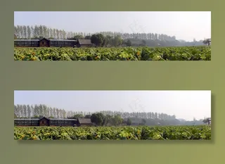 农场和田野的全景视图