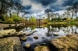 树,风景,天空,山峦,工艺品,池塘公园湖自然