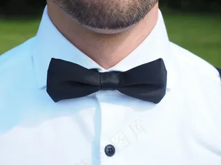 飞，西装，新郎，循环，衣领，服装，配件