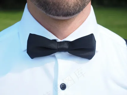 飞,西装,新郎,循环,衣领,服装,配件 飞,西装,新郎,循环,衣领,服装,配件