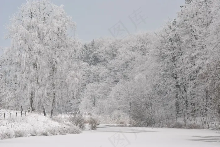 雪，冬季，冷，浪漫，心情，寒冬，雪域，树