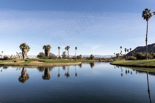 绿洲，沙漠，度假村，水，棕榈树，树木，景观