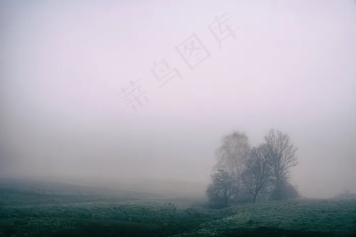 雾，原野，农村，树木，农业，农村