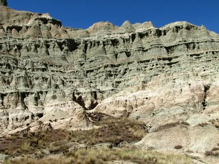 化石床，地质，岩层，约翰·戴