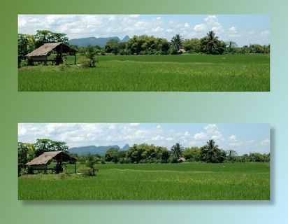 风景，泰国，水稻