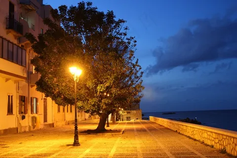 晚上,树,路灯柱,天空,演习,暮光之城,晚上 晚上,树,路灯柱,天空,演习,暮光之城,晚上