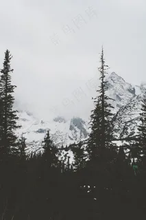 冰雪,山峦,树,落叶松,雪松,雪山多云的森林 冰雪,山峦,树,落叶松,雪松,雪山多云的森林