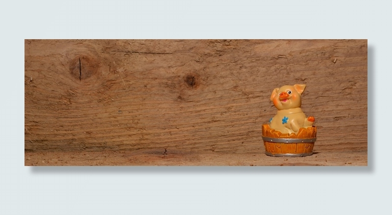 幸运猪，猪，游泳，图