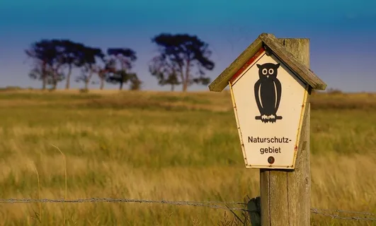 自然保护区，不受影响，标志，自然，注意