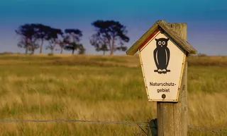 自然保护区，不受影响，标志，自然，注意