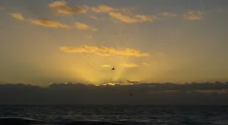 墨西哥，Sun  S，出勤