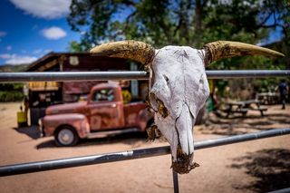 66号公路，生锈的汽车，牛头骨