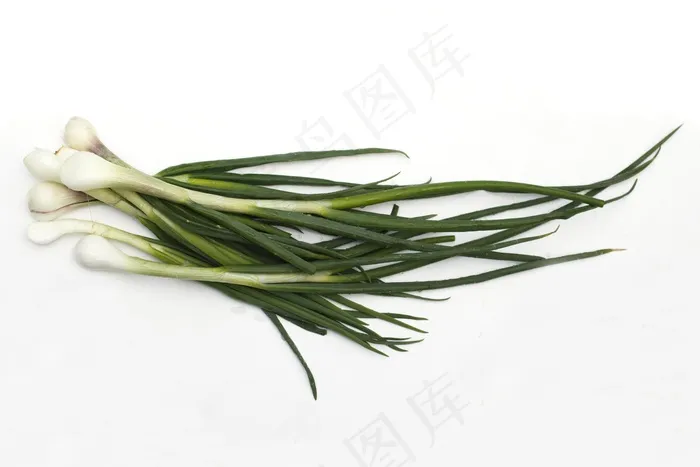 洋葱，绿色，维生素，绿党，食品，菜园