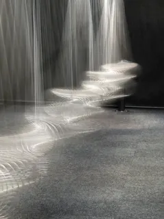 运动，振动，弹簧，波动，实验