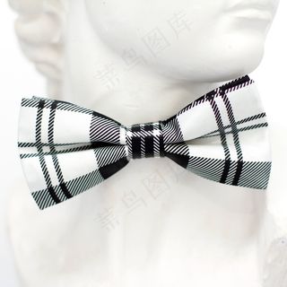 白色，黑色，格仔，飞，领带，循环，时尚，男子