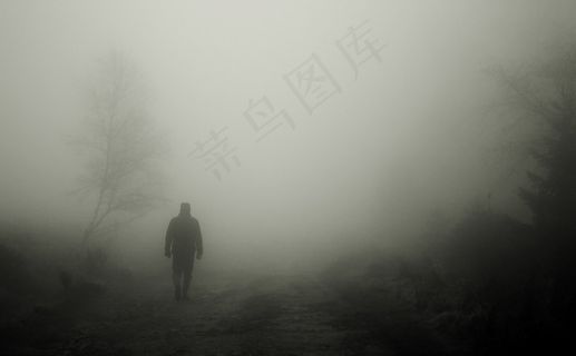 步行者，秋景，起雾，文家，人类，心情，气氛