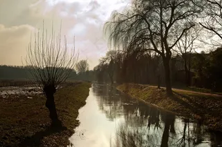 牧场，河，下莱茵，景观，自然，绿色