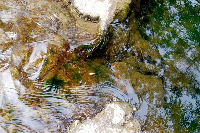 水，河，溪流，水晶般清澈，水流