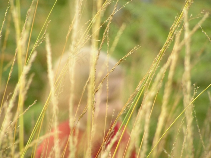 查理是个好男孩