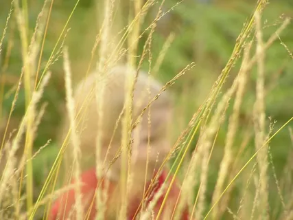 查理是个好男孩