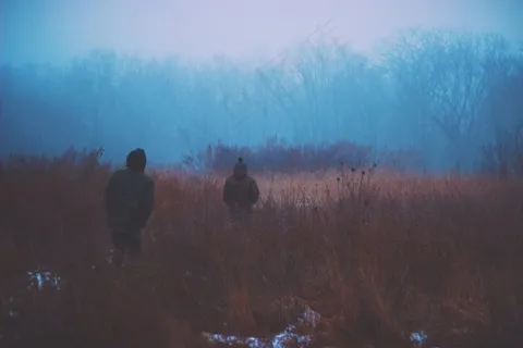 屏幕截图,天空,风景,江河,棕熊,冷自然人走