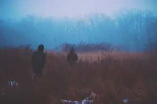 屏幕截图,天空,风景,江河,棕熊,冷自然人走