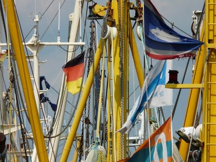 渔船，详细信息，桅杆，海岸，港口，垂钓