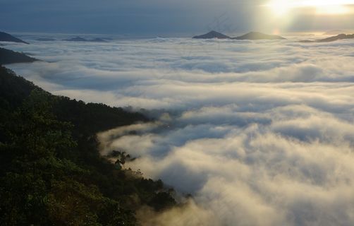 雾，薄雾，景观，自然，雾，山，有雾
